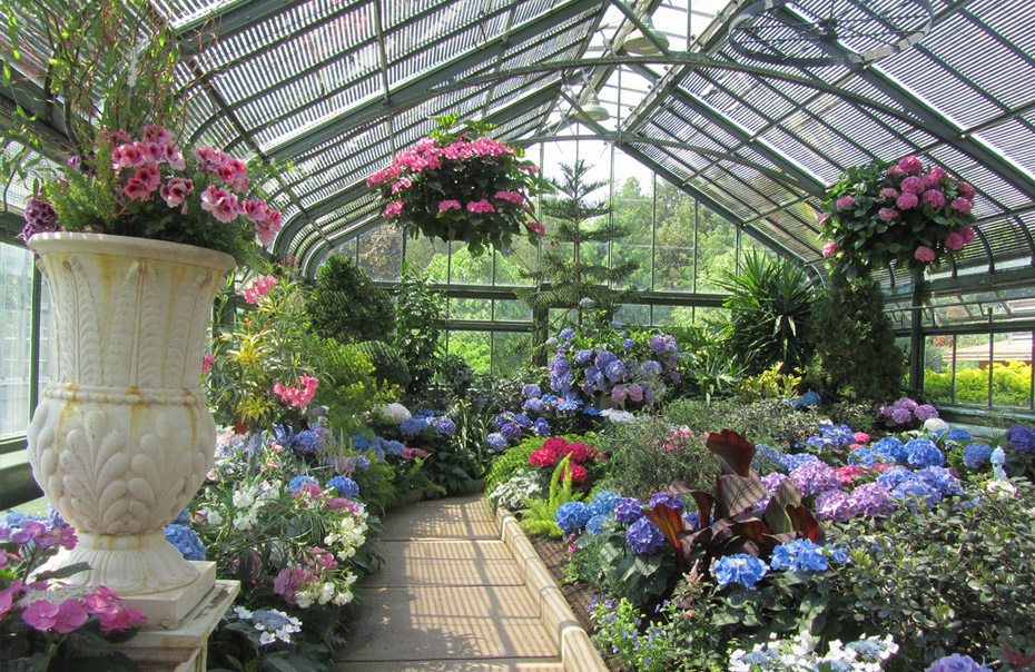 floral-showhouse floral-showhouse